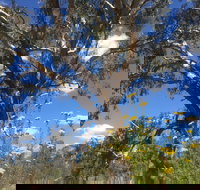 Euroa Arboretum - Perths Hotel