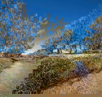Freshwater Creek Track Byfield National Park - Perths Hotel