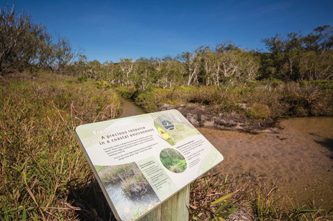 Freshwater Creek Track, Byfield National Park - Perths Hotel 1