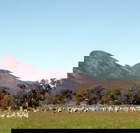 Grampians - Perths Hotel