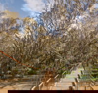 Lachlan River Swing Bridge - Perths Hotel