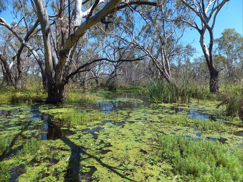 Macquarie Valley Trails - Perths Hotel 0