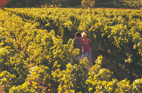 Margaret River Certified Organic And Biodynamic Wine Trail - Perths Hotel 2