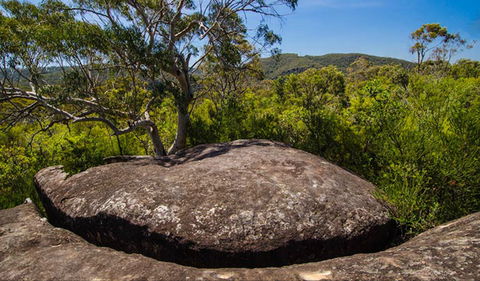 Marramarra Ridge To Smugglers Ridge Walking Track - Perths Hotel 0