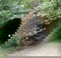 Mushroom Tunnel - Perths Hotel