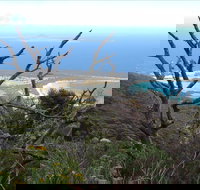 Strzelecki Peaks Great Short Walk - Perths Hotel