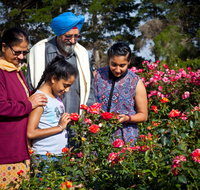 Victoria State Rose Garden at Werribee Park - Perths Hotel