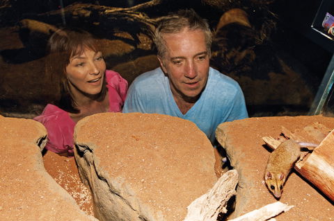 At The Creek Visitor Information Centre - Perths Hotel 0