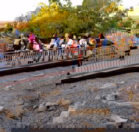 Australian Age of Dinosaurs - Perths Hotel