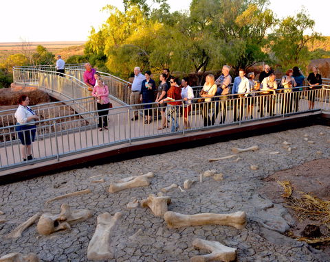 Australian Age Of Dinosaurs - Perths Hotel 0