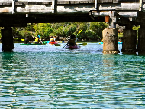 Byron Bay River Nature Kayak Tour - Perths Hotel 1