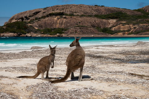 Cape Le Grand National Park - Perths Hotel 0