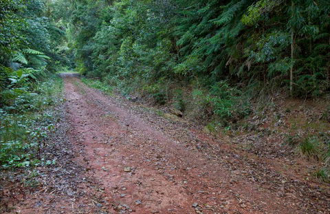 Cascade Mountain Bike Trail - Perths Hotel 0