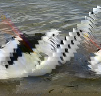 Chinaman Wells - Perths Hotel