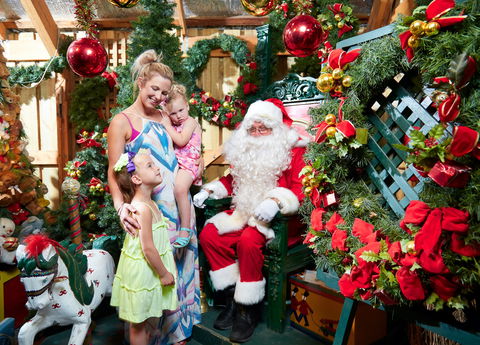 Christmas Tree Farm - Perths Hotel 2