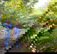 Endeavour Fern Gully Walks - Perths Hotel