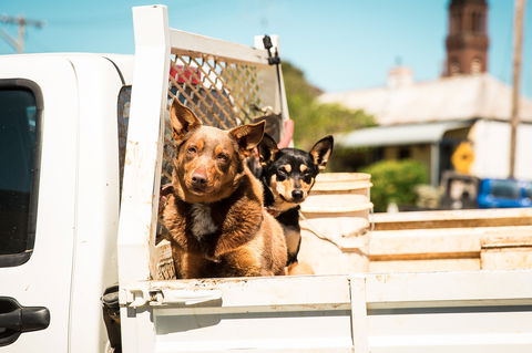 Harden Murrumburrah - Perths Hotel 0