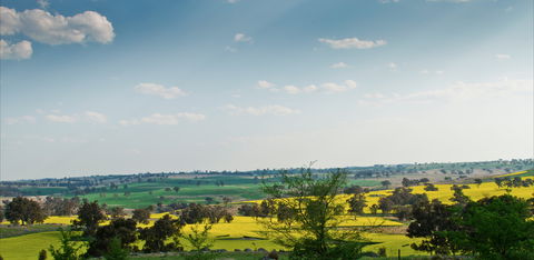 Harden Murrumburrah - Perths Hotel 1