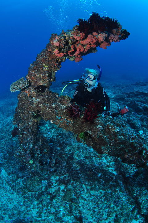 Hutchinson Shoal Dive Site - Perths Hotel 1