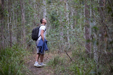 Ironbark Ridge And Spotted Gum Walking Trails - Perths Hotel 2