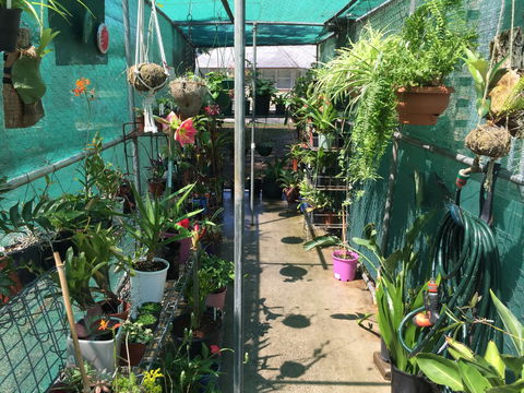 Kilcoy Craft Market - Perths Hotel 1
