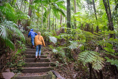 Maiala - Perths Hotel 1