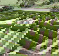 Mintaro Maze - Perths Hotel