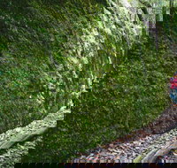 Morisset - Perths Hotel