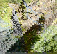 Morans Falls track Lamington National Park - Perths Hotel