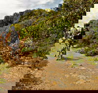 Mountain Biking Trails - Perths Hotel