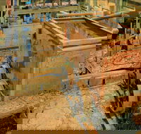 Mountain Maid gold mine - Perths Hotel