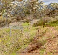 Old Mountain Road Walking Track - Perths Hotel
