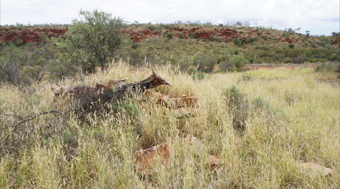 Original Glen Helen Homestead - Perths Hotel 1