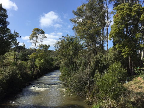 Pipers River Board Walk - Perths Hotel 1