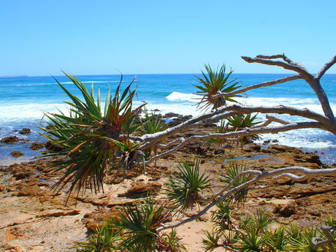 Rocky Point - Perths Hotel 1