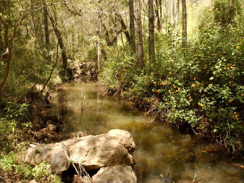 Sandy Creek Track - Perths Hotel 0