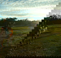 Scenic NSW Horse Riding Centre - Perths Hotel