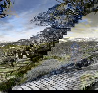 Snow Gums boardwalk - Perths Hotel