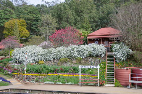 Spring Bluff Railway Station - Perths Hotel 1