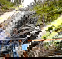 Steavenson Falls - Perths Hotel