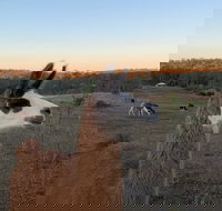 The Llama Farm - Perths Hotel