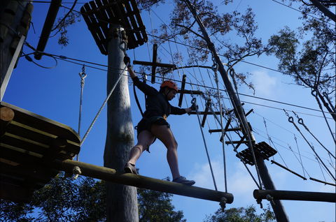 Trees Adventure Nowra Park - Perths Hotel 0