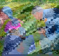 Warrumbungle National Park Discovery Program - Perths Hotel