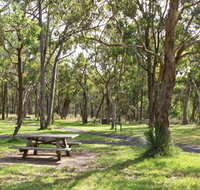 Wollomombi Gorge and Falls Picnic Area - Perths Hotel