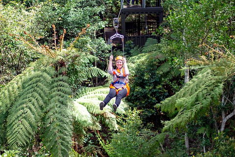 Illawarra Fly Treetop Adventures Treetop Walk Admission Ticket - Perths Hotel 2