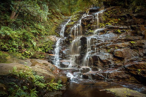 Ultimate Blue Mountains Waterfalls, Walks & Sunset PRIVATE Tour - Perths Hotel 10