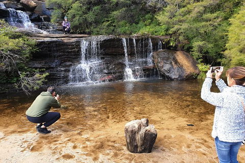 Ultimate Blue Mountains Waterfalls, Walks & Sunset PRIVATE Tour - Perths Hotel 0
