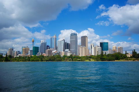 Private Sydney Foreshores And Beaches SUV Tour - Perths Hotel 9