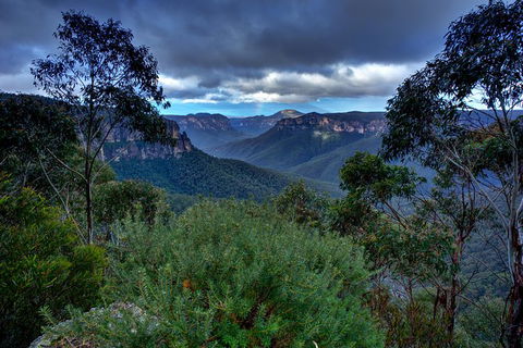 Ultimate Blue Mountains And Wildlife Tour - Perths Hotel 6