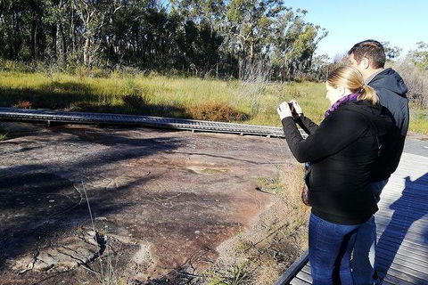 Kangaroo Encounter & Aboriginal Rock Arts Half-Day Trip From Sydney - Perths Hotel 7